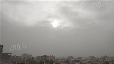 عواصف ترابية تضرب الوادي الجديد وتعيق الرؤية على الطرق السريعة (فيديو)