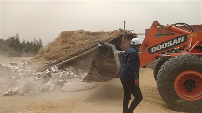 ضمن المرحلة الثالثة للموجة 22، إزالة 37 حالة تعد بالقصاصين في الإسماعيلية (صور) 