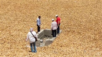 بيئة البحيرة تنفذ حملة تفتيشية مكثفة لسلامة وصحة المواطنين (صور)