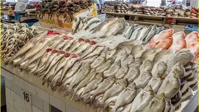 نزل للنصف، تراجع أسعار السمك في أول أيام المقاطعة بالمنوفية وعروض مخفضة من أصحاب المطاعم