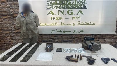 ضبط كميات من المخدرات وأسلحة نارية بحوزة 10 عناصر إجرامية بـ سوهاج والشرقية (صور)