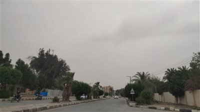 انخفاض شديد في درجات الحرارة وسحب كثيفة تغطي سماء الوادي الجديد (فيديو وصور)