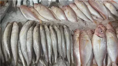 مع تصاعد حملة خليه يعفن، تخفيضات تصل لـ 40% على أسعار الأسماك بالأسواق