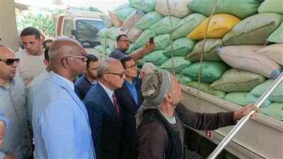توريد 21 ألف طن قمح لصوامع القليوبية منذ بدء موسم الحصاد