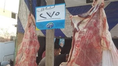 الكيلو بـ 275 جنيها، قرية الجميزة بالغربية تطلق مبادرة لبيع اللحوم بأسعار مخفضة 