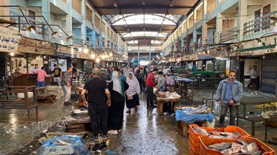 أسعار الأسماك اليوم، 640 جنيهًا أعلى سعر لكيلو الجمبري في سوق العبور (صور)