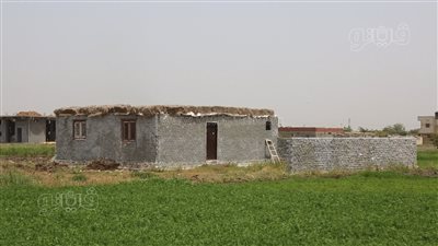 محافظ كفر الشيخ يشدد على إزالة التعديات على الأراضي الزراعية في مهدها 