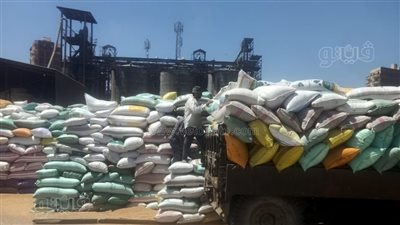 توريد 47 ألف طن قمح لشون وصوامع كفر الشيخ