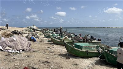 افتتاح موسم الصيد ببحيرة البردويل وقرية الصيادين بشمال سيناء