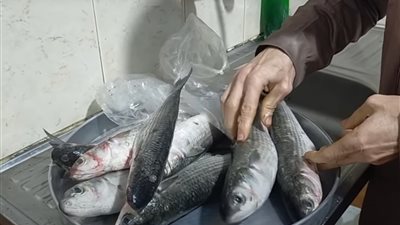 التسمم بالفسيخ، حقائق هامة يجب معرفتها قبل شم النسيم