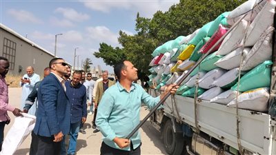توريد 3697 طن قمح لصوامع الإسكندرية منذ بدء موسم الحصاد