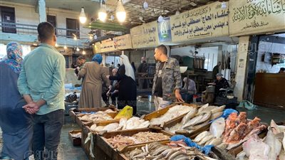 تجار سوق العبور لـ «فيتو»: مقاطعة شراء الأسماك ليست الحل (فيديو)