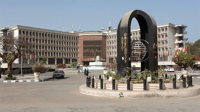 جامعة اسيوط، فيتو