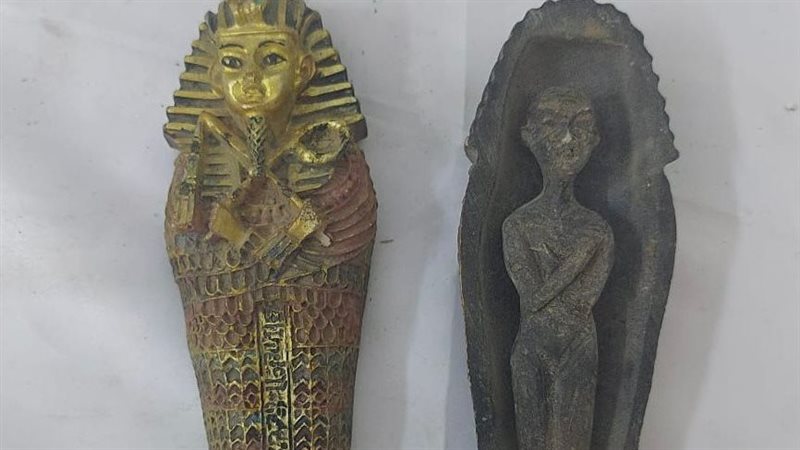 أخبار الحوادث اليوم،فيتو
