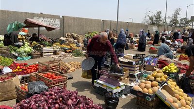 البصل بـ 10 جنيهات، أحدث أسعار الخضراوات في سوق العبور (صور)