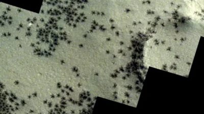 حقيقة ظهور عناكب على سطح المريخ