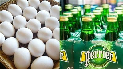 أخبار مصر: انخفاض كرتونة البيض إلى 60 جنيها بعد المقاطعة، مأساة في حفل زفاف بقنا، زلزال يضرب الكويت