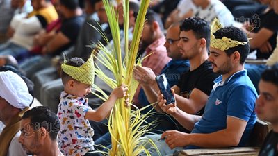 الكنيسة القبطية الأرثوذكسية تحتفل اليوم بأحد الشعانين