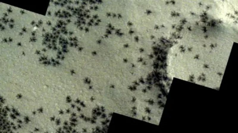 اشكال صغيرة داكنة