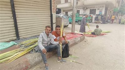 بسنابل القمح والتاج، أهالي قنا يحتفلون بأحد السعف (صور)