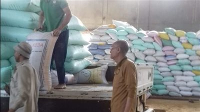 توريد 95 ألف طن قمح لشون وصوامع الدقهلية (صور)