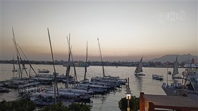 تقل مئات السائحين، المراكب الشراعية تُزين نهر النيل لحظة غروب الشمس في الأقصر (فيديو)