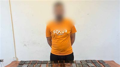 حبس 8 عناصر إجرامية بتهمة حيازة مخدري الحشيش والشابو بالجيزة وقنا