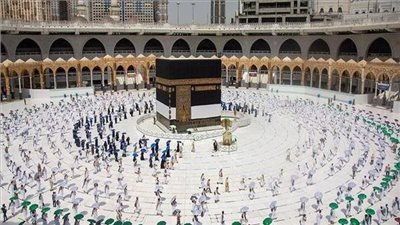 اتحاد المصريين بالسعودية يكشف عن إجراء جديد بشأن فريضة الحج (فيديو)