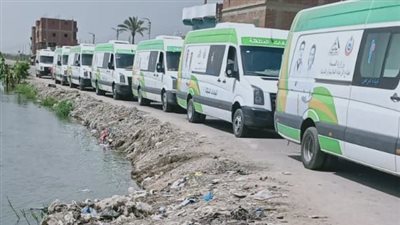 محافظ الإسماعيلية يُوَجِّه بتقديم الخدمات الطبية لمواطني قرية الضبعية (صور) 