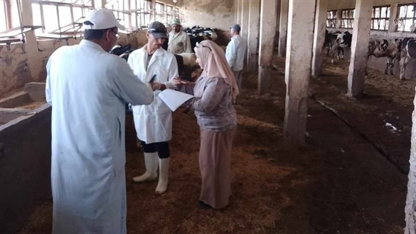 تحصين 72427 رأس ماشية ضد مرضى الحمى القلاعية والوادى المتصدع بالبحيرة