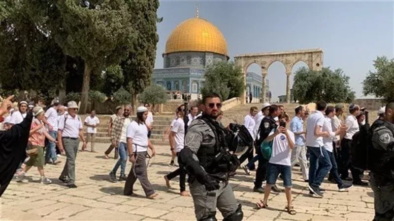 المستوطنين اليهود،فيتو