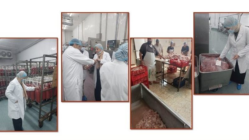 بيطرى الشرقية ضبط