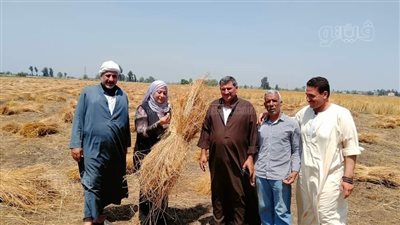 فرحة بين مزارعي الدقهلية بموسم حصاد الكتان (صور) 