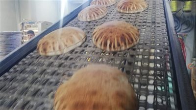 إحالة 373 محضرا لمخالفات تموينية للنيابة العامة في الدقهلية 