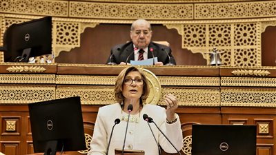 نائبة بالشيوخ تستعرض تفاصيل طلب مناقشة بشأن جودة التعليم العالي 