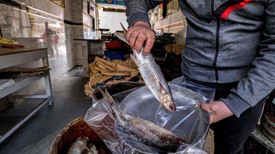 قبل شم النسيم.. نصائح القومي للتغذية قبل تناول الفسيخ والرنجة.. وشروط صحية يجب توافرها في محلات بيع الأسماك 