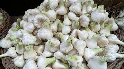 أسعار الخضراوات اليوم، الثوم يقفز لـ 40 جنيهًا في سوق العبور