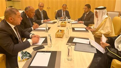 تفاصيل لقاء سامح شكري مع وزير خارجية البحرين.. حذر من مخاطر أي عملية عسكرية برية في رفح الفلسطينية.. وبحث الاستعدادات لانعقاد القمة العربية الـ 33