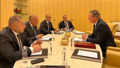 شكري يؤكد أهمية وقف إطلاق النار في غزة بالتوازي مع إعادة تفعيل حل الدولتين