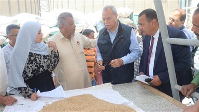 محافظ القليوبية يتابع توريد القمح بصومعة الغلال بعرب العليقات
