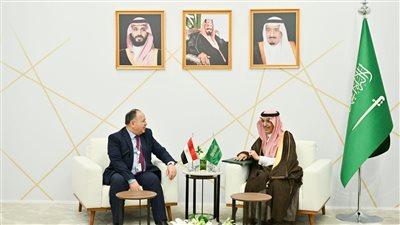 وزير المالية: ندعو أشقاءنا السعوديين للاستثمار فى مصر والاستفادة من حوافز الإنتاج والتصدير
