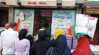 مع استمرار مبادرات خفض الأسعار.. البيضة بـ3 وربع والكرتونة بـ100 جنيه في القليوبية (فيديو)