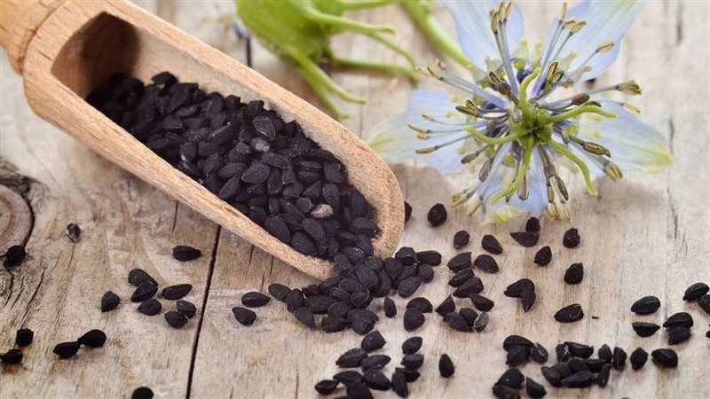 فوائد الحبة السوداء،