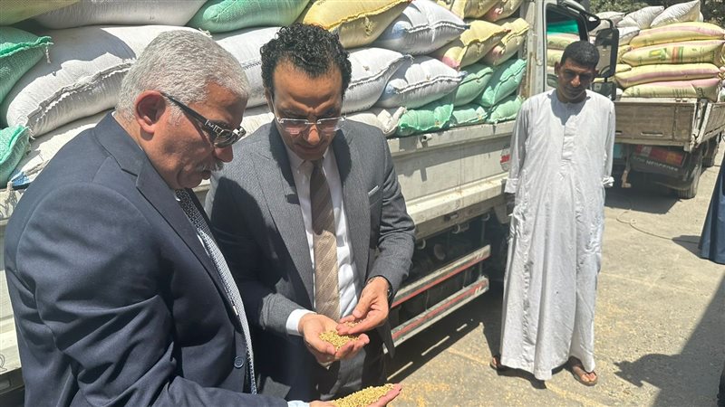 التوريد بشركة مطاحن
