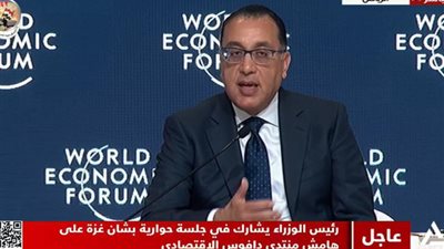 الأزمة والحل، مصر تضع العالم أمام حقيقة الوضع في فلسطين (إنفوجراف)