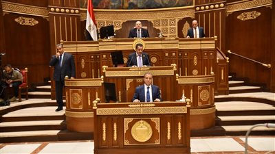 وكيل الشيوخ: الصادرات الزراعية مازالت أقل من الطاقات الإنتاجية