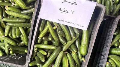 الخيار ب7 جنيهات والطماطم 5 جنيهات، إقبال كبير على معرض الخضار بالقليوبية 