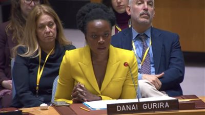 داناي جورورا تتحدث في مؤتمر الأمم المتحدة عن العنف الجسدي ضد النساء والأطفال بفلسطين (فيديو)