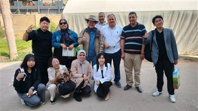 تجارب مشتركة لزراعة تقاوي البطاطس الكورية في مصر