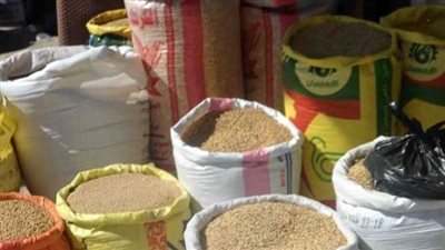 انخفاضات جديدة في أسعار الذرة وأعلاف الصويا بالأسواق